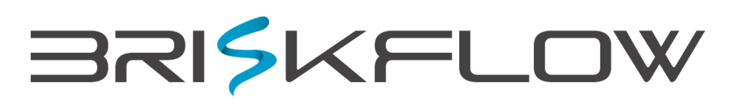 Logo_briskflow_18052016
