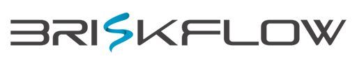 cropped-Briskflow-Square.jpg